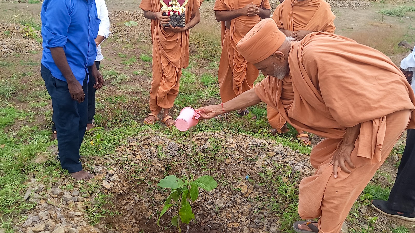 Tree Planting