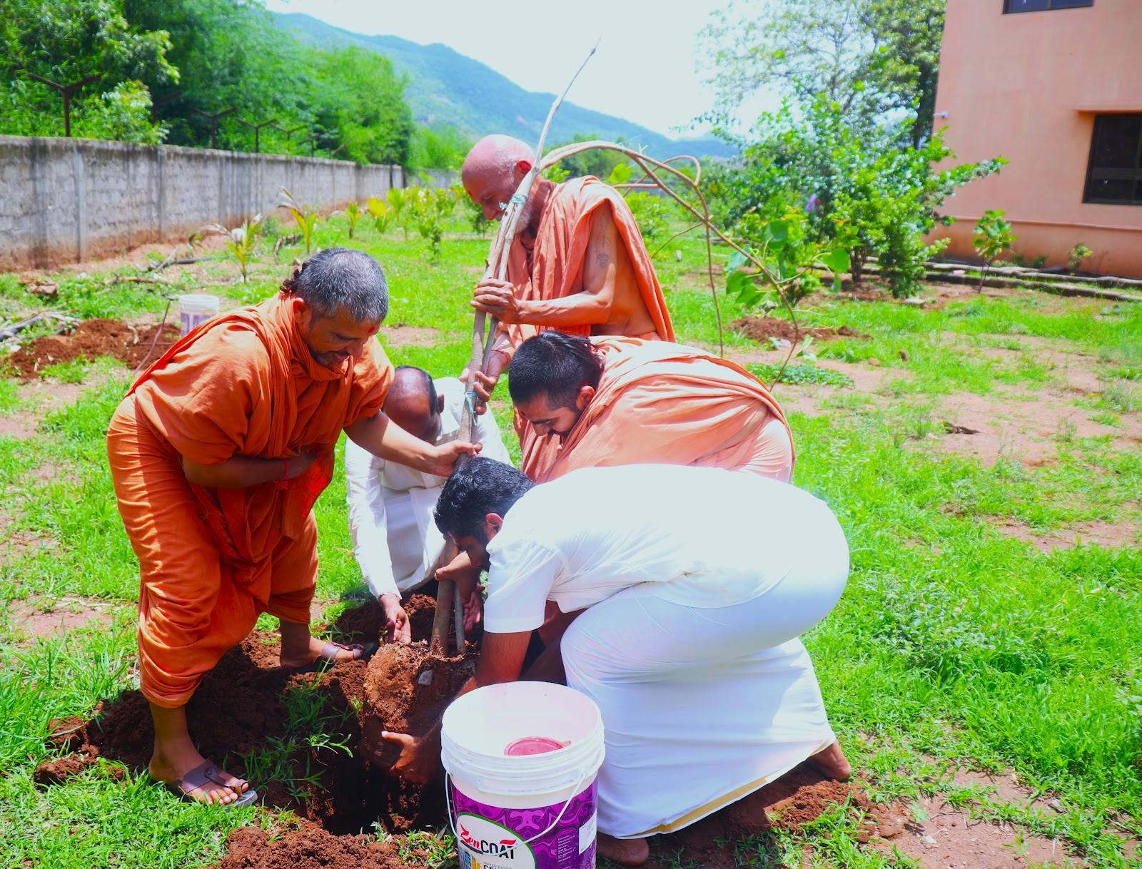 Tree Plantation By Swamji