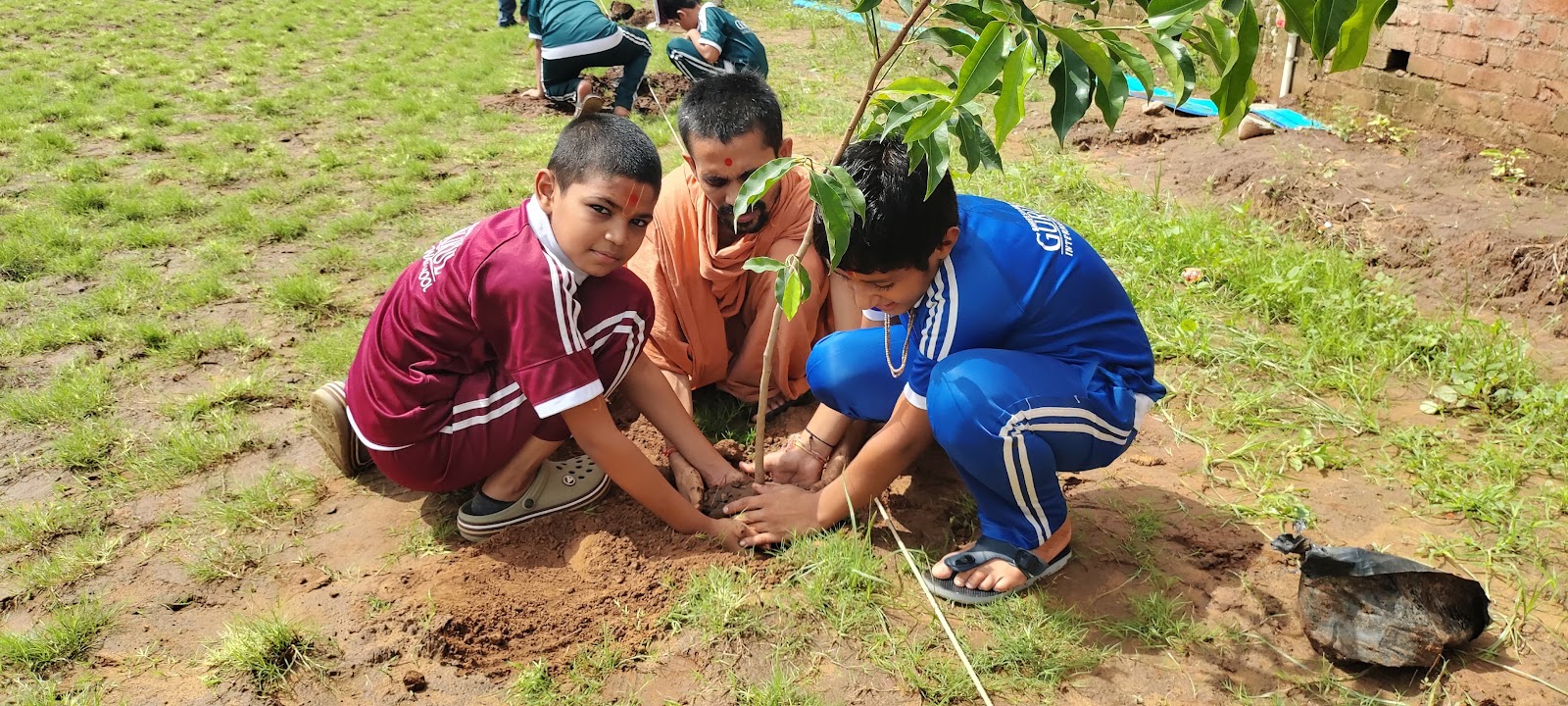 Welfare Movement Tree Plantation