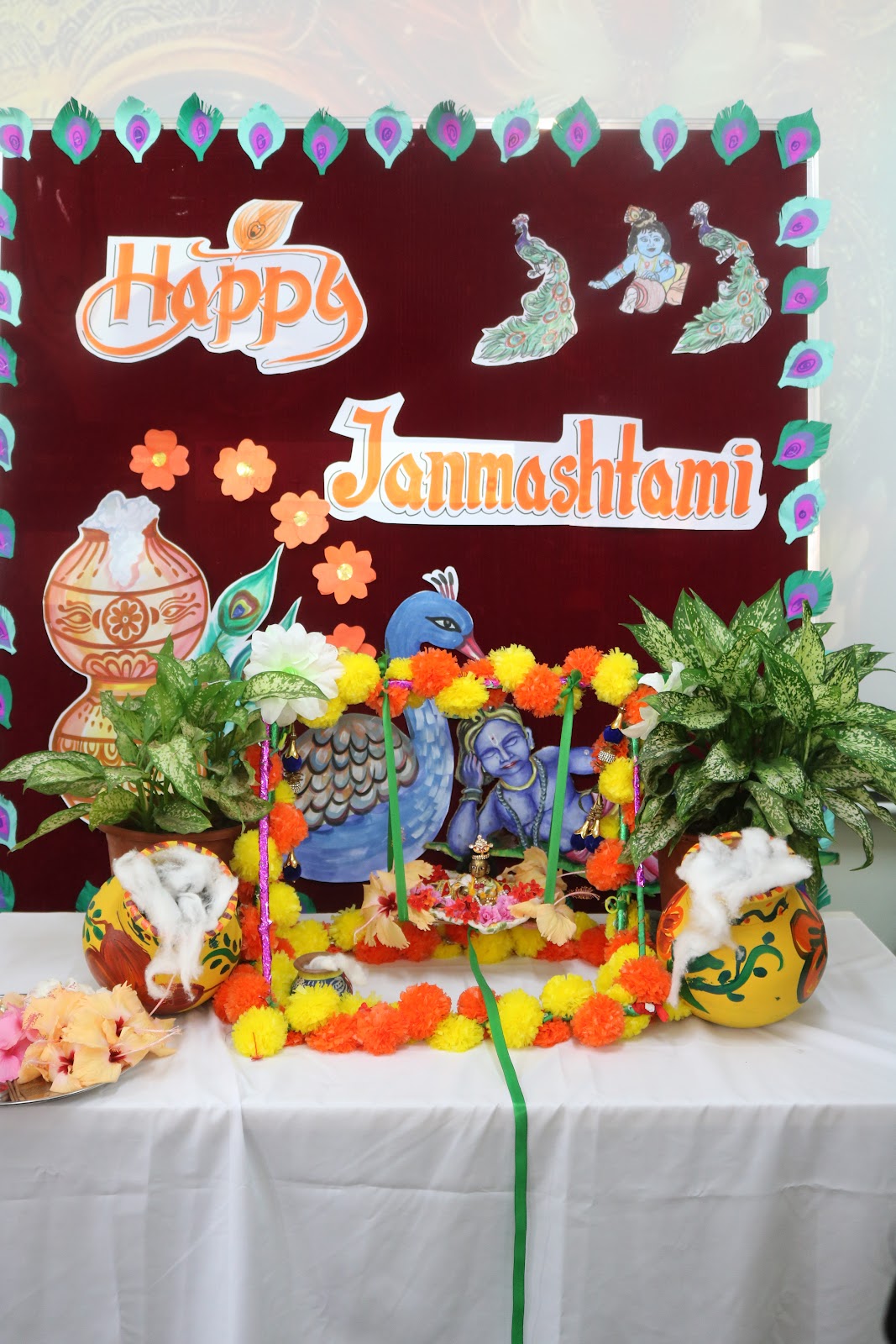 Shree Krishna Janmashtami Shree Swaminarayan Gurukul International School