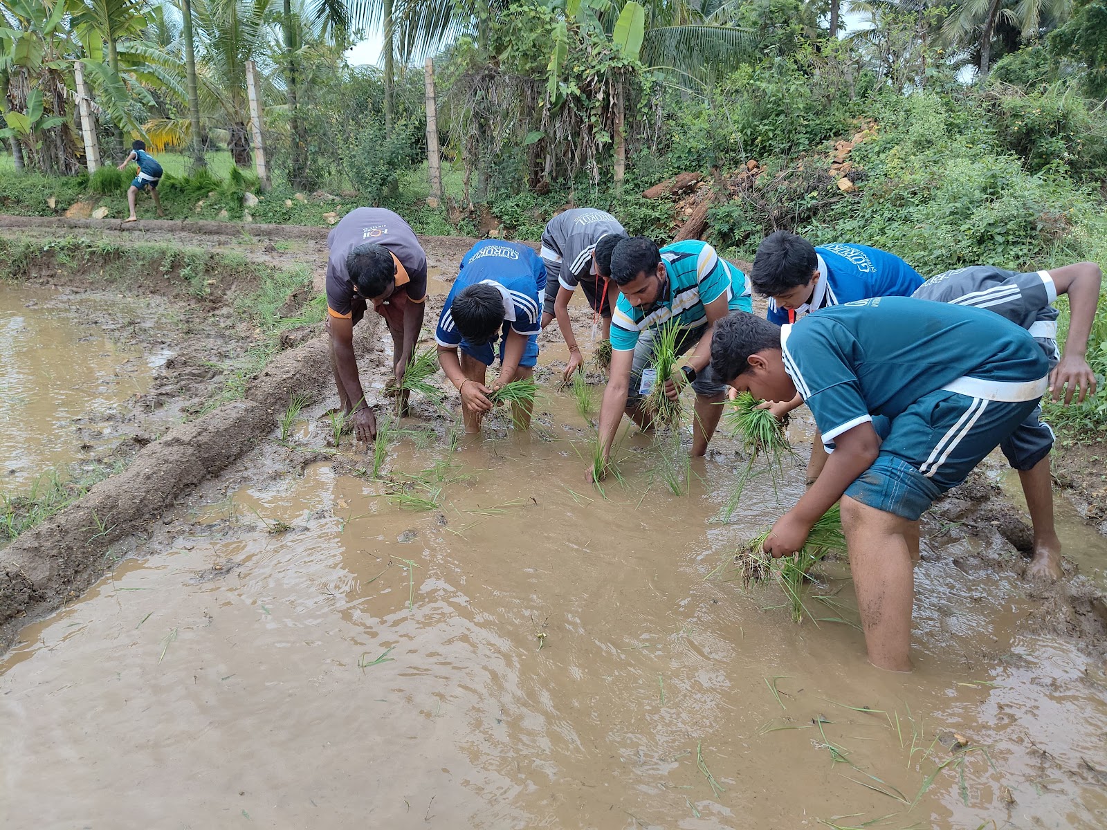 Experience of Farmership