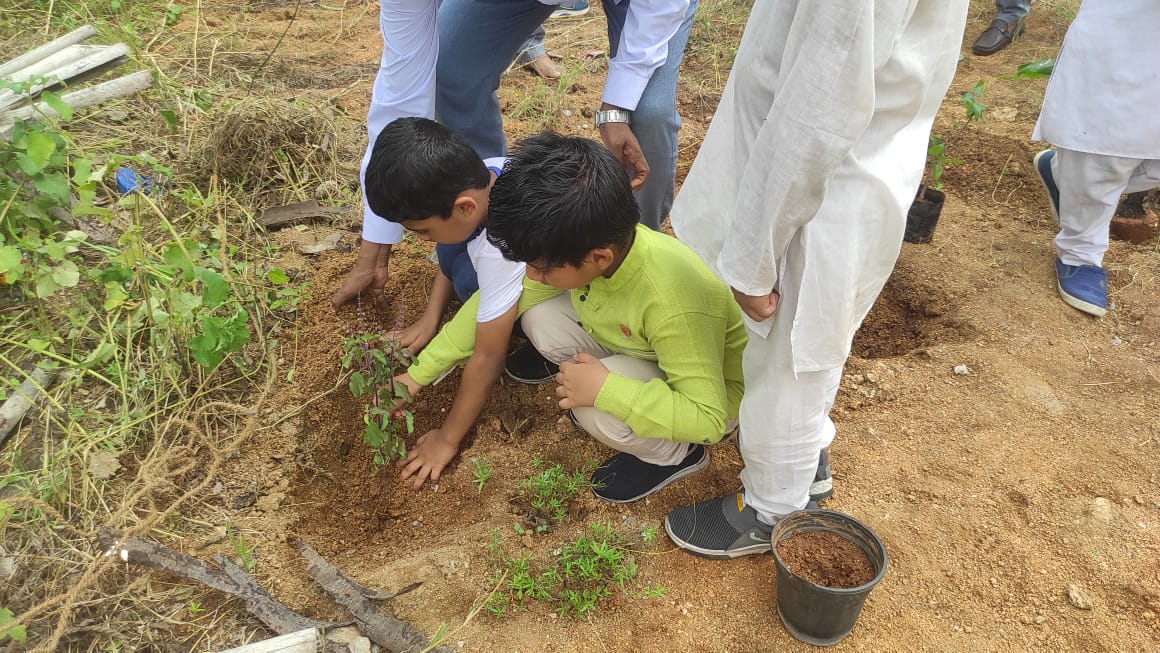 Plantation by Day-School