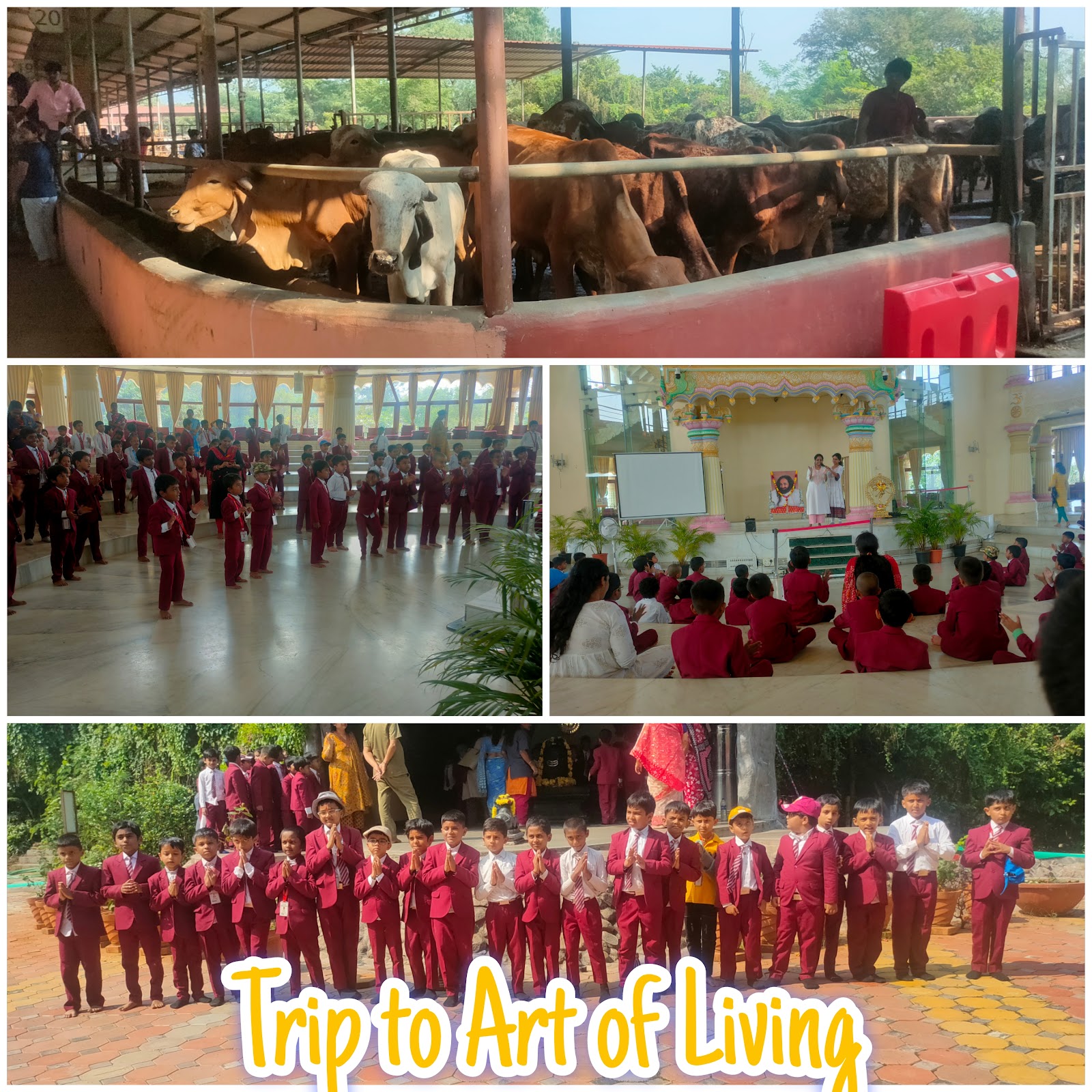 Trip to  Art of Living