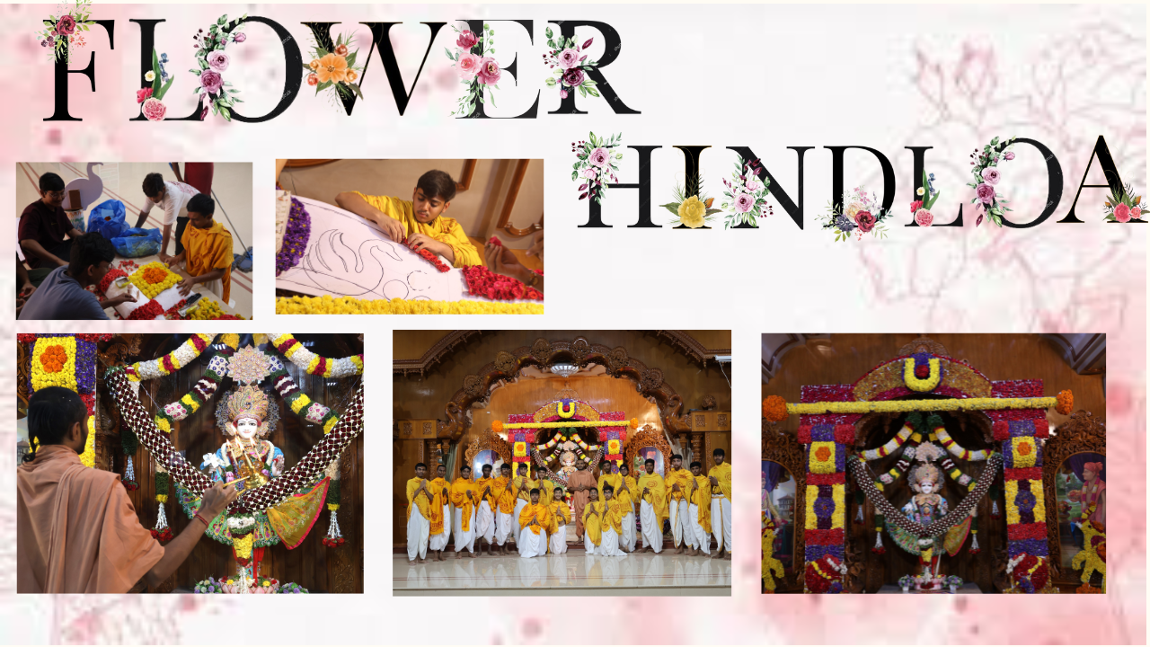 Flower Hindola