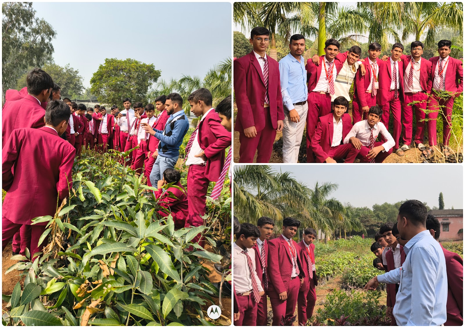 Field Trip @ Nursery