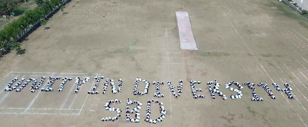 Unity in Diversity Primary Wing