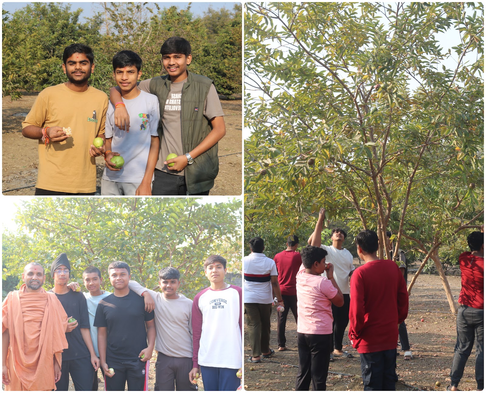Visit to Gurukul Farm – A Joyful Walk Through Nature