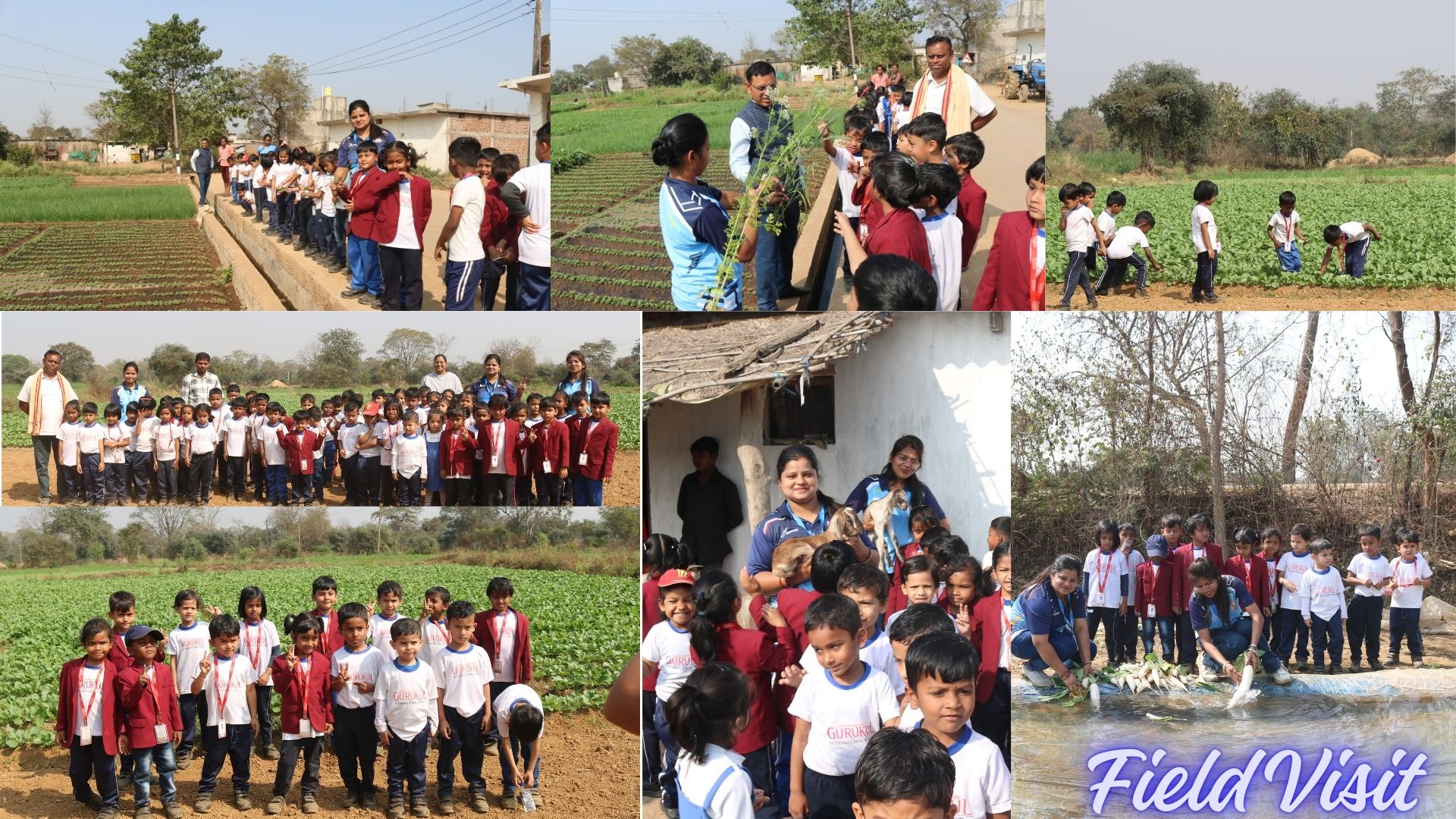 From Soil to Table: A Green Adventure for Our Little Learners