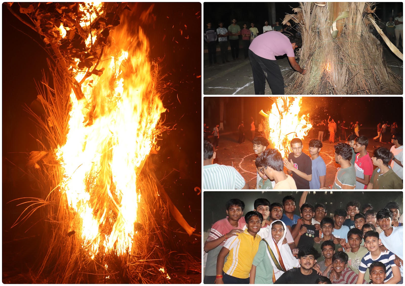 Holika Dahan (Flames Of Victory)