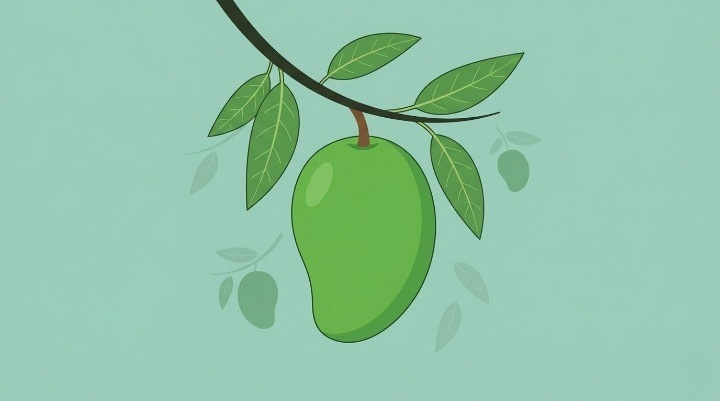 Minimal Digital Illustration Of Raw Mango Hanging On A Branch Representing Ugadi Ingredient.