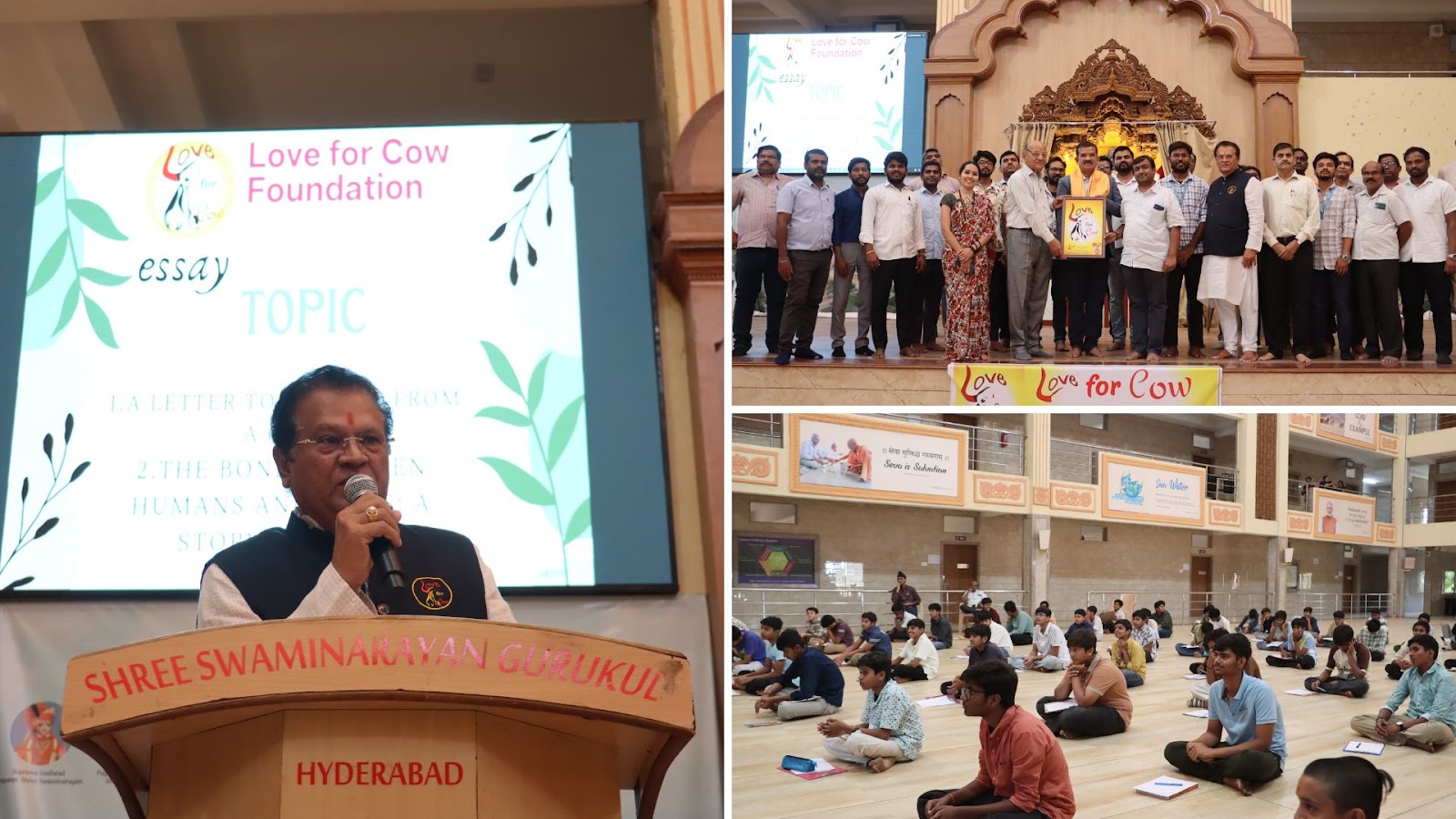 Essay of Love for Cow