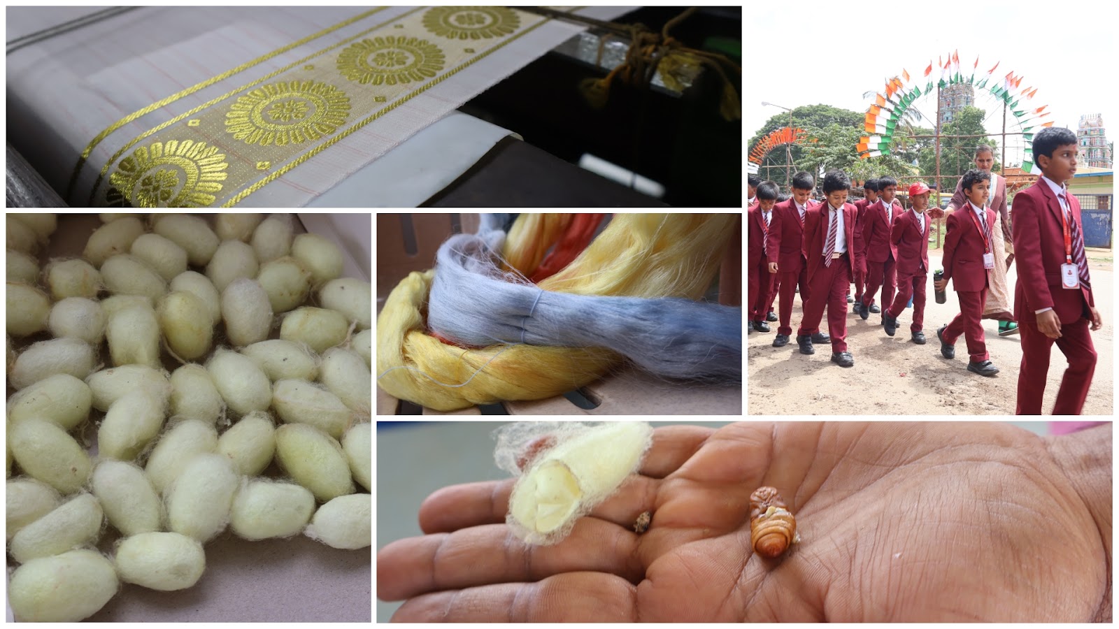 Educational Trip to Silk Factory