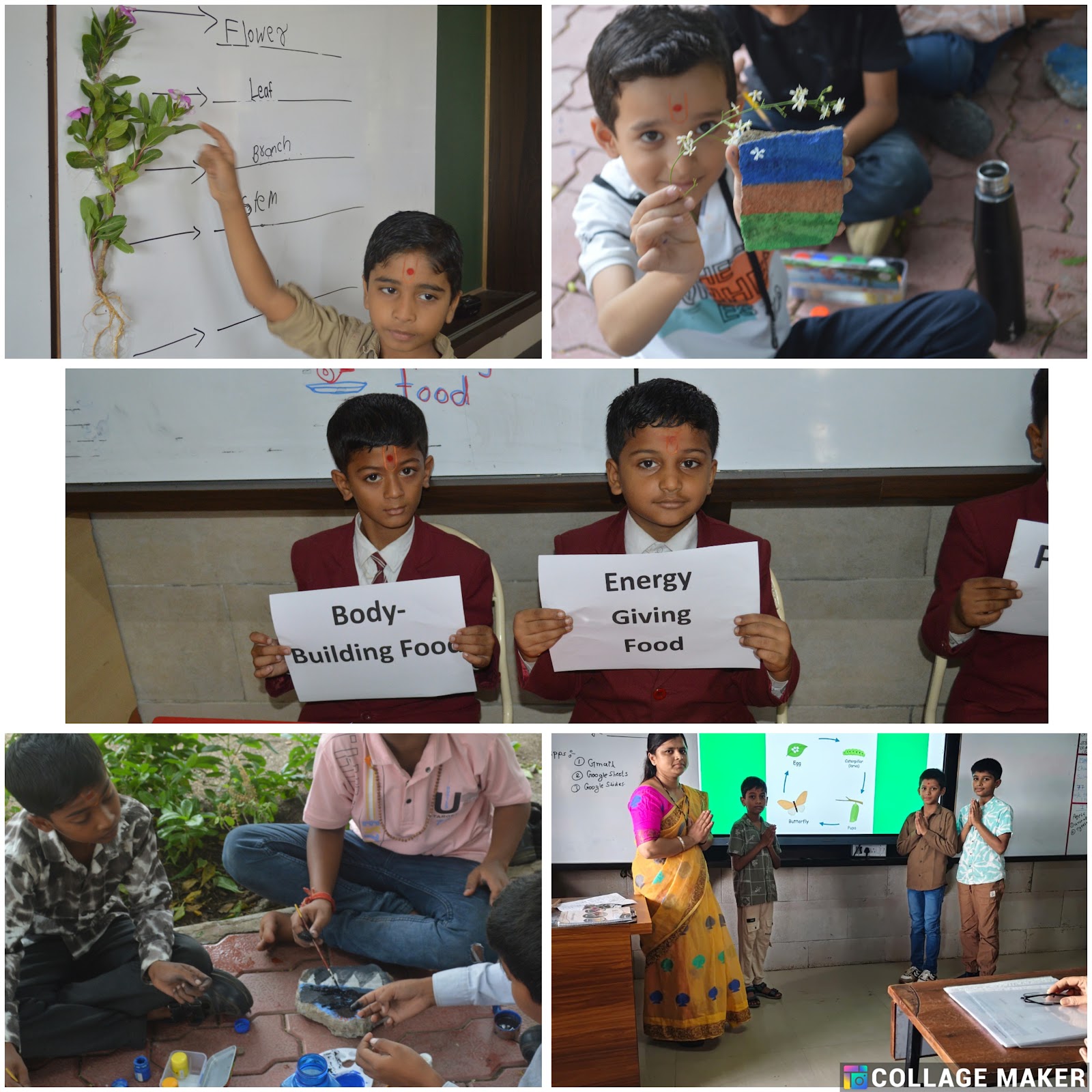 Science Week